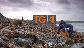 Méadú tagtha ar lucht féachana TG4 in 2021