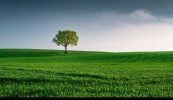 Deich gceist faoi COP26 – cruinniú cinniúnach don domhan uilig