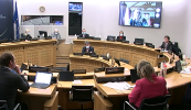 ‘Neamhaird’ á déanamh ag airí rialtais ar Choiste Gaeilge an Oireachtais