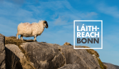 LÁITHREACH BONN: Conas an éigeandáil aeráide agus bhithéagsúlachta in Éirinn a leigheas?