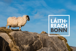 LÁITHREACH BONN: Conas an éigeandáil aeráide agus bhithéagsúlachta in Éirinn a leigheas?