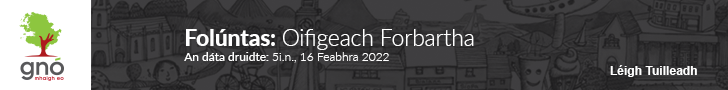 Beagnach 1,000 freagra faighte ag an NCCA faoi mholtaí conspóideacha do Ghaeilge na hArdteiste