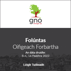 Caithfear glór na Gaeltachta a chloisteáil agus ‘Éire Aontaithe’ á plé