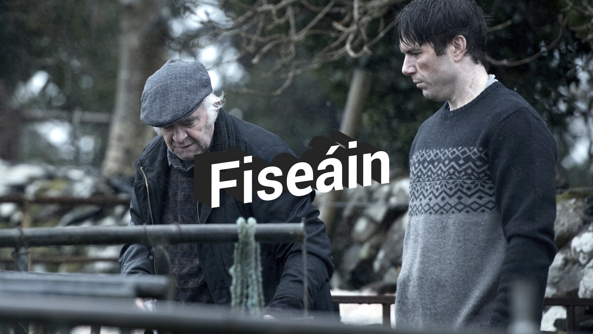 FÍSEÁN d’FHOGHLAIMEOIRÍ: An scannán Gaeilge ‘Foscadh’
