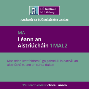 Méadú tagtha ar lucht féachana TG4 in 2021