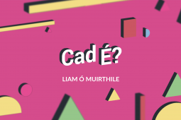 FILÍOCHT: Cad é? le Liam Ó Muirthile