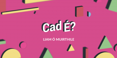FILÍOCHT: Cad é? le Liam Ó Muirthile