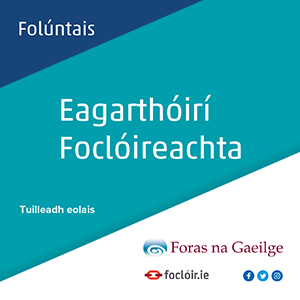 Toghcháin éagsúla d’earnálacha áirithe i measc na moltaí a scrúdófar san athbhreithniú ar Bhord Údarás na Gaeltachta