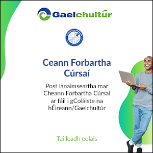 Dearcadh na Roinne Oideachais i leith aonad Gaeilge ‘scannalach’ – ceannasaí Gaeloideachas