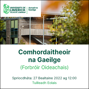 Cathaoirleach nua le ceapadh ar Bhord Fhoras na Gaeilge in áit Phóil Uí Ghallchóir