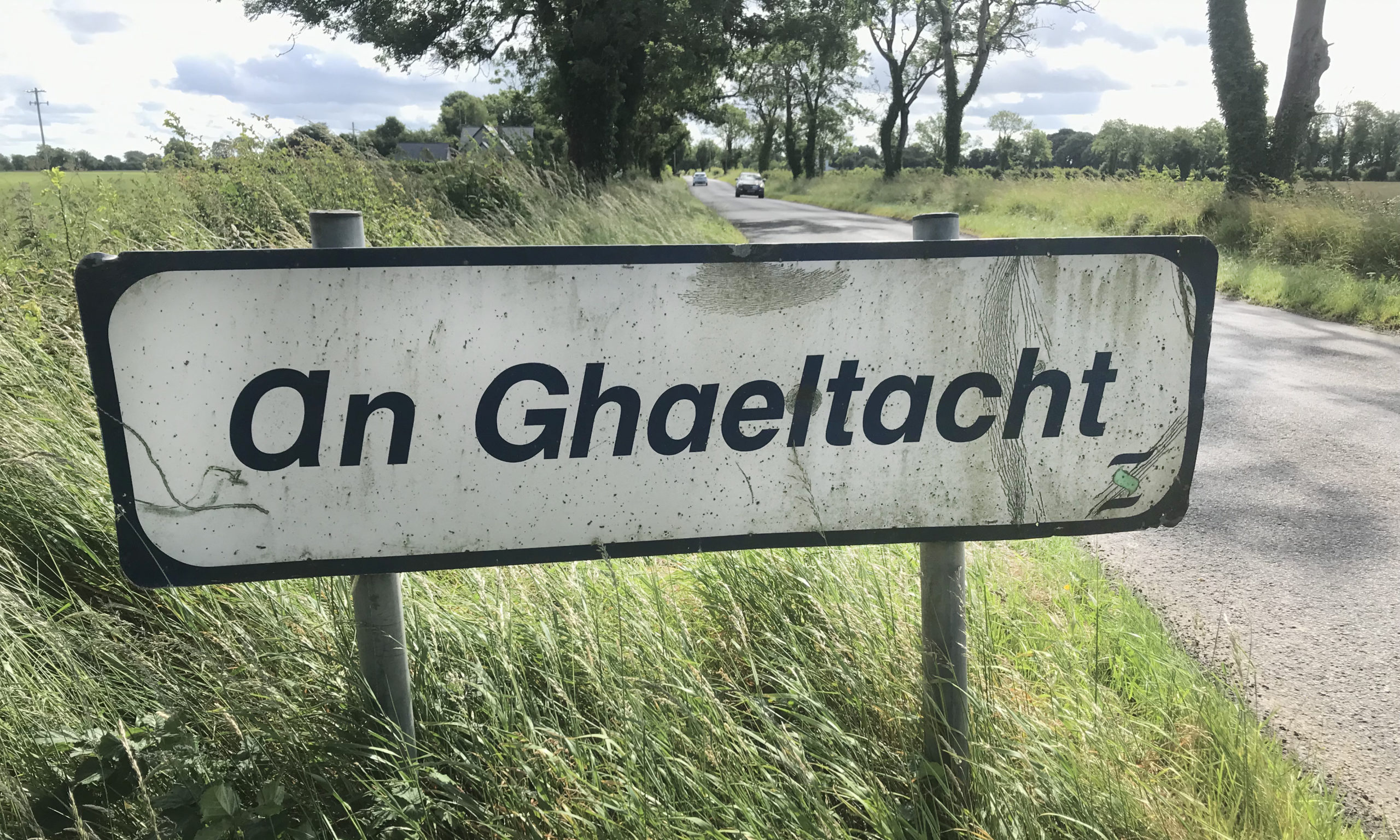 Sé ábhar suntais ó na toghcháin áitiúla sa Ghaeltacht…