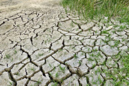 Díomá aeráide agus teannas polaitiúil sa Bhrasaíl