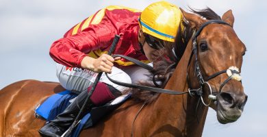 Tá mé ag coinneáil súil ar an marcach óg seo ó bhuaigh sé Derby an Daingin in 2015