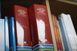 Foclóir Gaeilge-Fraincise ar intinn ag foclóirithe
