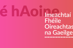 OIREACHTAS 2022: Imeachtaí Fhéile Oireachtas na Gaeilge – Dé hAoine