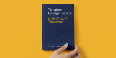 Is féidir linn go léir taitneamh, aoibhneas, áthas nó spraoi a bhaint as leabhar mór Garry Bannister