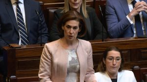 Míshástacht i measc Ghaeilgeoirí Fhine Gael faoi cheist na scoileanna lán-Ghaeilge