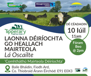 Teagasc - TIPPERARY DAIRY BEEF OPEN DAY 300 0724
