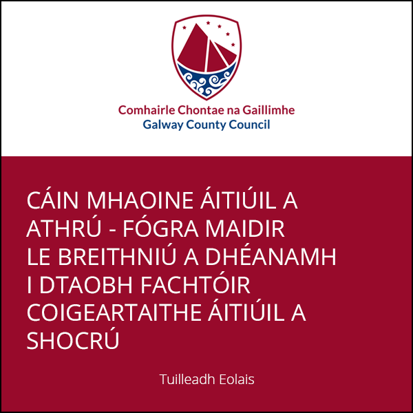 Galway County Council 2 300 0724