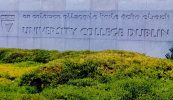 UCD roghnaithe chun athbhreithniú a dhéanamh ar na meáin Ghaeilge