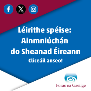 Foras na Gaeilge Brat 1124