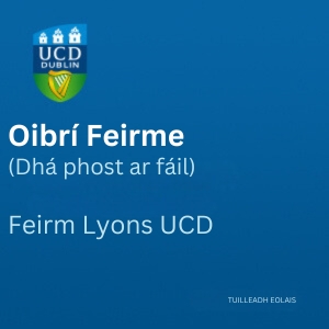 UCD Oibrí Feirme 300 1224