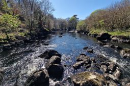 Foraois Bháistí Atlantach ceannaithe ag grúpa caomhnaithe i nGaeltacht na Gaillimhe