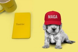 MAGA an madra ag déanamh ar an Teach Bán, spásanna ‘sábháilte’ don Ghaeilge agus Coinín na Cásca  
