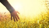 Buail amach le breacadh an lae agus nigh do lámha sa drúcht – 30 piseog lá Bealtaine
