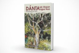 File docheansaithe í Áine Ní Ghlinn nach gcuirfidh ar do shuaimhneas thú