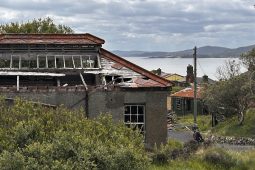 An Dún Riabhach, dún na n-eachtraí agus na n-éanlaithe