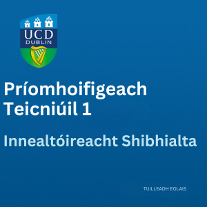 UCD Príomhoifigeach Teicniúil 300