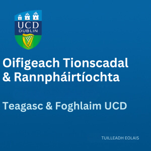 UCD Oifigeach Tionscadal & Rannpháirtíochta 300 0525
