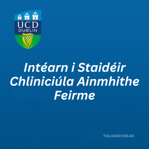 Intern in Farm Animal Clinical Studies DCU