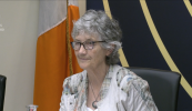 Coiste Oireachtais ag iarraidh na ceisteanna atá ‘ag dó na geirbe ag pobal na Gaeilge’ a phlé