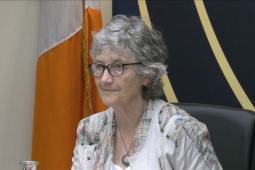 Coiste Oireachtais ag iarraidh na ceisteanna atá ‘ag dó na geirbe ag pobal na Gaeilge’ a phlé