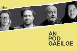 AN POD GAEILGE: An difríocht idir Béarla is Gaeilge na hArdteiste, díol Arramara agus an státseirbhíseach macánta