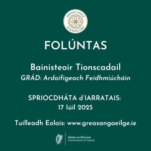 Oireachtas Bainisteoir Tionscadail brat 0725