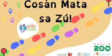 Cosán Mata Zú Bhaile Átha Cliath ar fáil i nGaeilge do dhaltaí ar fud na hÉireann