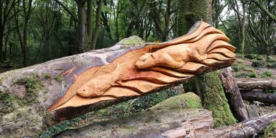 Sea, bíonn tú ag análú gach lá… ach cén cineál análaithe atá á dhéanamh agat?