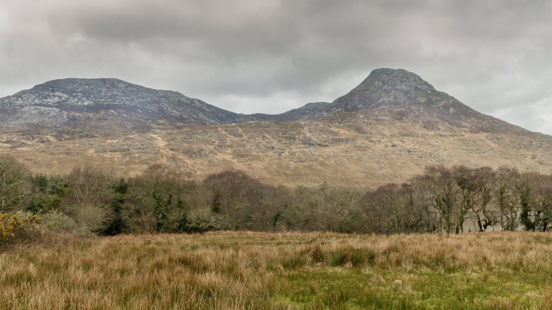 Cead páirceála i sliabhraon Gaeltachta tarraingthe siar mar gheall ar mhadraí