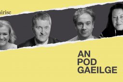 AN POD GAEILGE: Droch-chomharthaí –  ‘Cul de sac’ scriosta ag an UDA ar fhaitíos gur Gaeilge atá ann