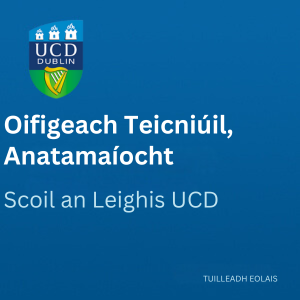 UCD Oifigeach Teicniúil, Anatamaíocht 300 1025