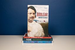 Leabhar Gaeilge na bliana ag na Irish Book Awards buaite ag Darach Ó Scolaí