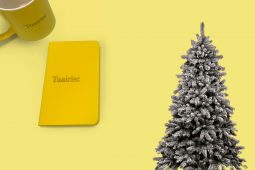 An bhfuil éinne ag cuimhneamh ar lucht an Bhéarla bocht?