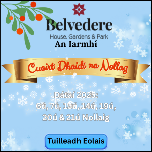 Iarmhi Santa brat 1125