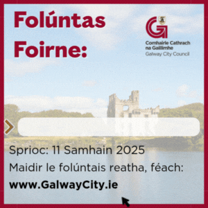 GCC Foluntas 300 1125