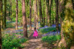 GNÉ-ALT FÓGRAÍOCHTA: Gníomhaíochtaí Lasmuigh in Uíbh Fhailí