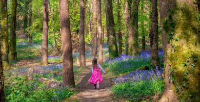 GNÉ-ALT FÓGRAÍOCHTA: Gníomhaíochtaí Lasmuigh in Uíbh Fhailí