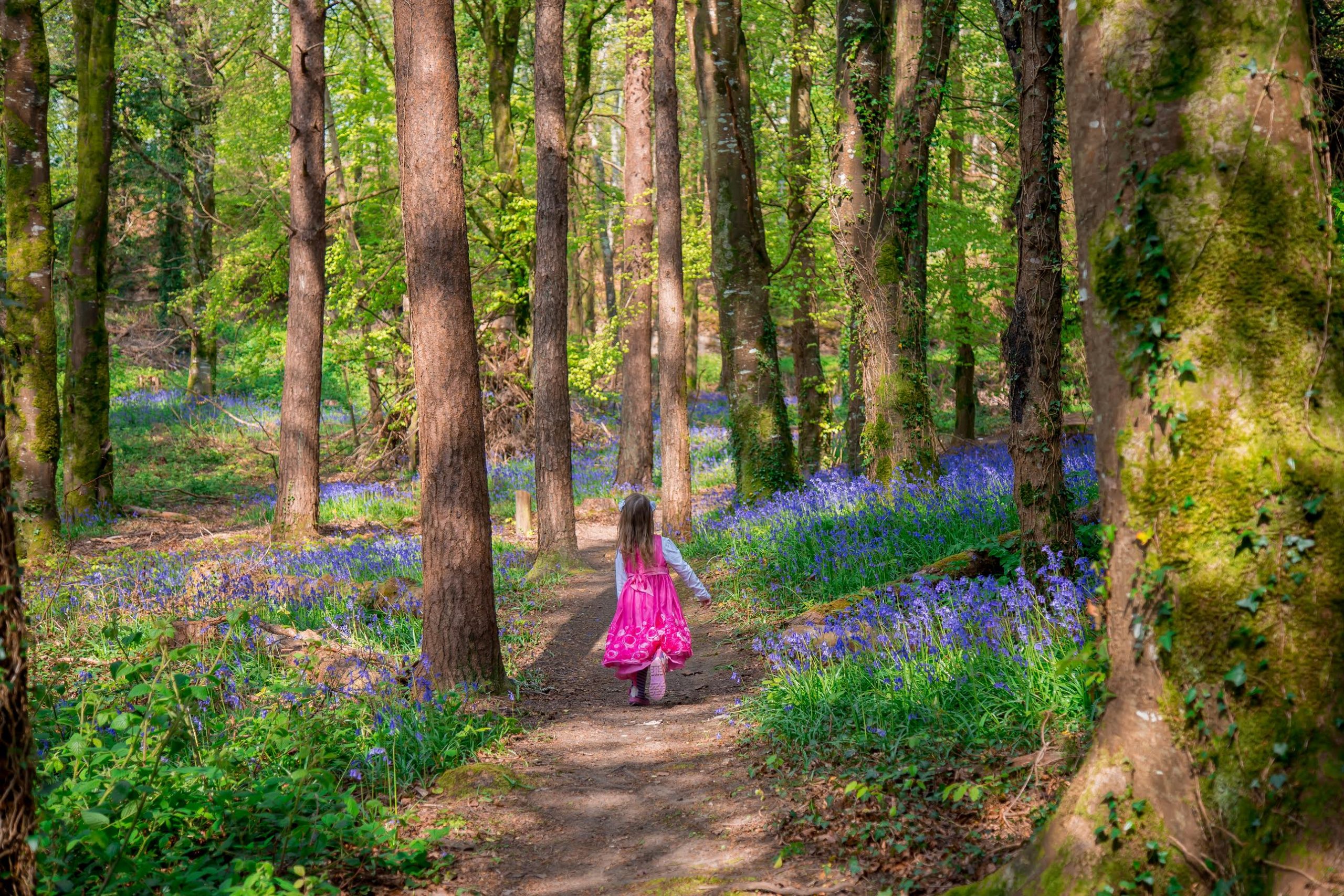 GNÉ-ALT FÓGRAÍOCHTA: Gníomhaíochtaí Lasmuigh in Uíbh Fhailí